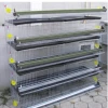 Layer Quail Cages For South Africa,Plastic Quail Cage Farming Equipment