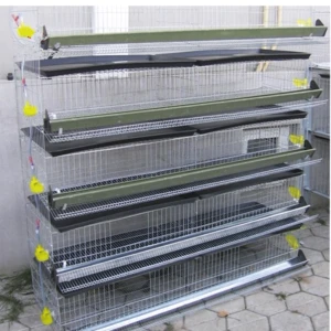Layer Quail Cages For South Africa,Plastic Quail Cage Farming Equipment