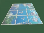 Led Flat Panel Light 40w Cloud Blue Sky LED Ceiling Panel Light 2x2