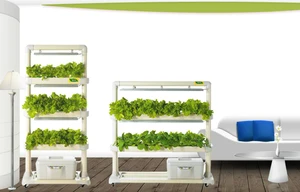 LED Hydroponic Cultivator : New Trend! Indoor Gardening with Grow Lamp (DHL-H3)