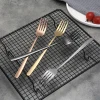 Long Handle colored rose gold silver plating stainless steel salad fruit dinner fork set