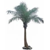 Low price ornamental plants big whole artificial coconut evergreen tree for garden for sale