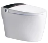 Luxury sanitary P-Trap ware ceramic smart smart wall-mounted or floor-mounted toilet