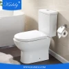 Malaysia Ceramic White Close Coupled Toilet