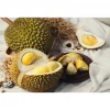 Malaysia Fresh Frozen Whole Durians Fruit Products in Vacuum Packing