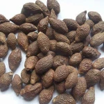 Malva Nuts/ Greek nuts for / pistachio nuts importers