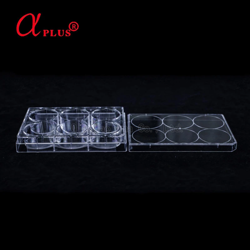 Medical lab plastic disposable sterile 6 wells cell culture plate