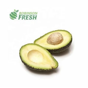 Mexico Grown Green Fresh Avocados Robinson Fresh MOQ 60-70 Count Quick Delivery in US