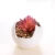 Import Mini artificial plants cactus succulent from China