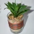 Import Mini Plant In Ceramic Pot Elegant Lifelike Decorative Artificial Succulent from China