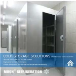 Moon small blast freezer for food refrigerationn freezing project best price