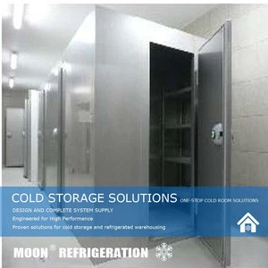 Moon small blast freezer for food refrigerationn freezing project best price