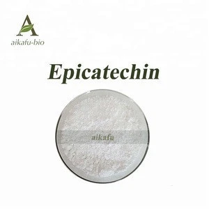 Natural Green Tea Extract 90% 95% 98% Epicatechin powder
