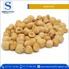 Natural Taste Quality Blanched Hazelnut/Hazel Nut at Low Price