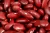 Import New 2018 Red Kidney Beans from France