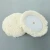 Import New Arrival Good Quality Car Maintenance And Cleaning Wool Polishing Pad from China