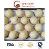 New Crop SGS Ya Pear Fresh Pear Fresh Frutis (28/32/36/40/44)