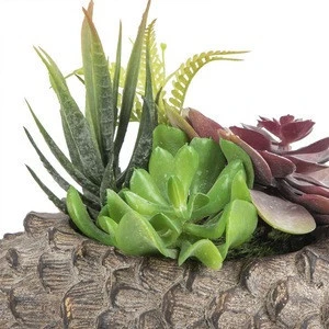 New Product Artificial Plants And Flowers Mini Bonsai Succulent