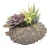 Import New Product Artificial Plants And Flowers Mini Bonsai Succulent from Pakistan