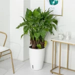 No Coated Finishing and Plastic Material cheap price plastic flower pots
