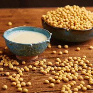 Non-Gmo Dried Soybeans