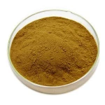 Odorless Garlic Extract,Black Garlic Extract