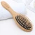 Import OEM/ODM Wooden Hairbrush/Fashion Bamboo Bristle Hair Brush from China
