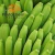 Import Organic Fresh Green Banana Powder Flour Baby Milk Powder from China