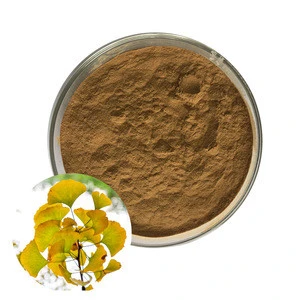Organic Ginko Biloba Leaf Extract Powder for Memory &amp; Sleep