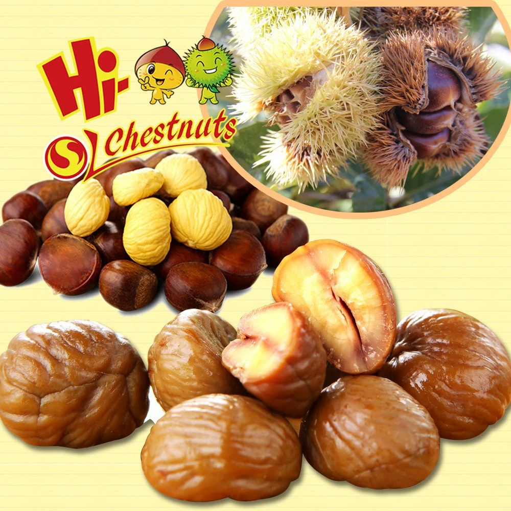 Organic Nut &amp; Kernel Snacks Food---ready to eat chestnuts snacks