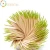 Import Panda plastic automatic  toothpick holders from China