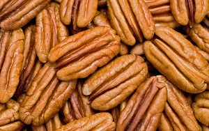 PECAN NUTS/Grade A Pecan nuts/Raw organic pecan nut at best price