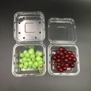 Plastic clamshell Packaging Tray for lettuce and basil leaves