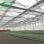 Import Plastic film tropical greenhouse with plastic cover for sale from China