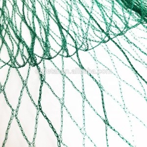 Plastic mesh anti bird net pheasant protect fruit used netting