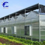 Plastic Polycarbonate Multi-span Greenhouse for Agriculture