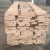 Import Poland Beech Round Logs - Fresh Cut from Poland