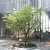 Import Popular Fake Tree Artificial Large Weeping Willow Tree for Decoration from China