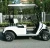 Import Portable Electricity Golf Cart 2 Seats Moving Trolley Golf Buggy from China