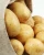 Import Potato, Fresh Potato from China