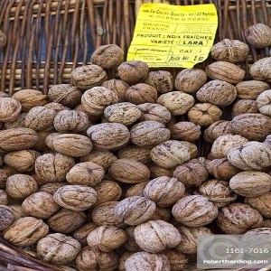 Premium Grade Walnut Kernels,Walnut Without Shell with High Protein18mm-24mm