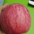 Import Premium new crop Red Fuji apple wholesale fresh apple fruit from China