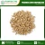 Import Premium Quality Barley Grain at Wholesale Price from India