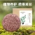 Import Private Label Natural Hair Clean Organic Plant Shampoo Soap Vegan Handmade Shampoo Bar Soap for Hair from China