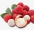 Import Product list of canned lychee in canned fruit for Malaysia from China
