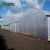 Import Production Center Multi Span Arched Roof PE Plastic Film Hydroponic Automated Greenhouse for Tomato from China