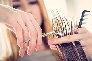 Professional Barber Scissor Hair Cutting Set - 6.5" - 1 Straight Edge Hair Scissor, Thinning Shears, Plus Leather Pouch