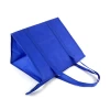 Promotional frozen food blue insulated delivery non woven cooler bag with handle