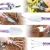 Import Purple Floral Print Garden Tools Set 5pcs with Case SW-OT600 from China