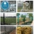 Import PVC Coated Cheap Fence Wire/Cheap Square Wire Mesh Fence(Guangzhou Factory) from China